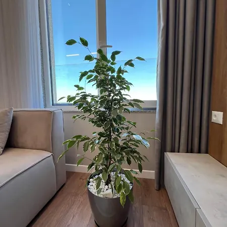 The Sky High Suite-sea & History 2 Lejlighed Durrës